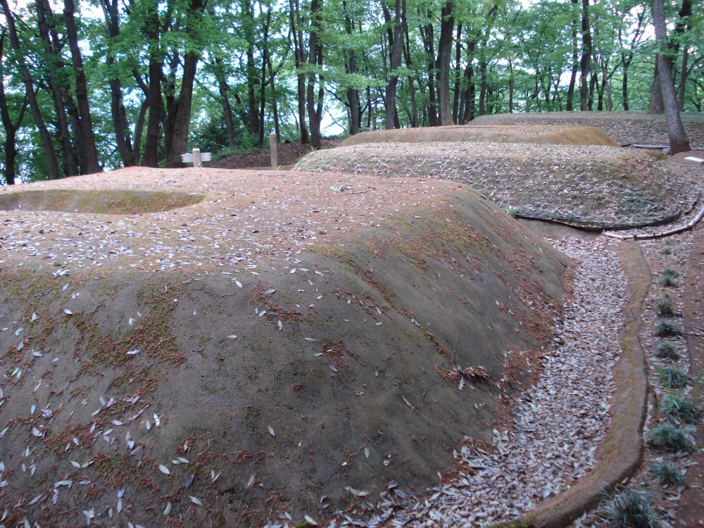 王山古墳群の写真 ©TokyoMontana(CC BY-SA 3.0)