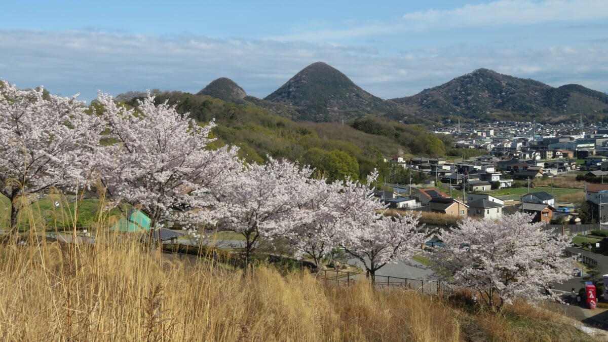 如意輪寺公園の写真 