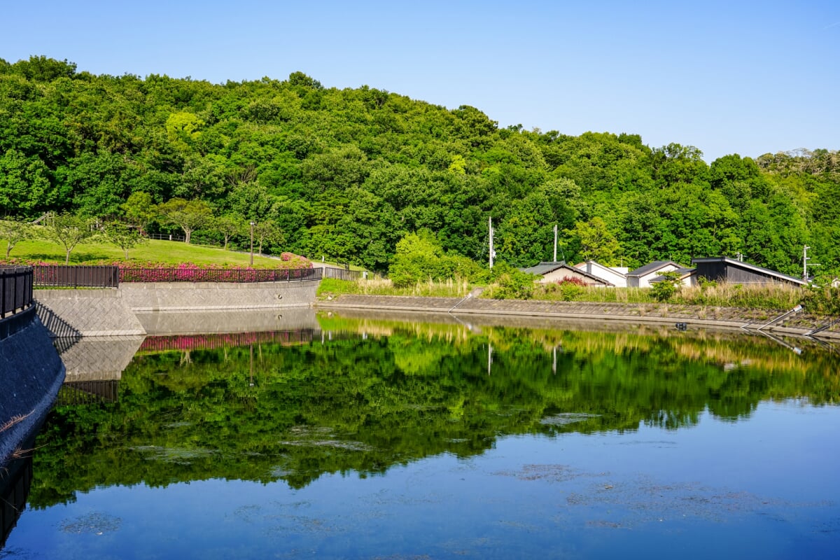 如意輪寺公園の写真 