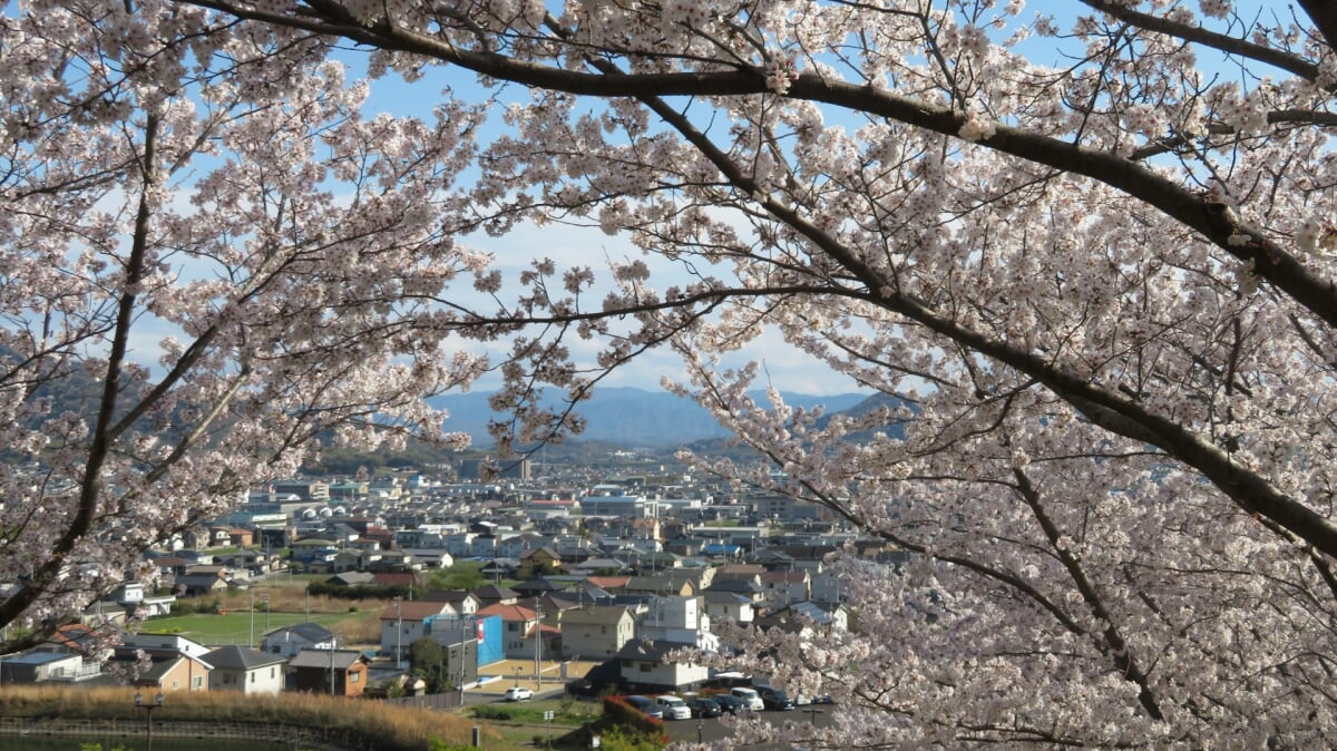 如意輪寺公園の写真 