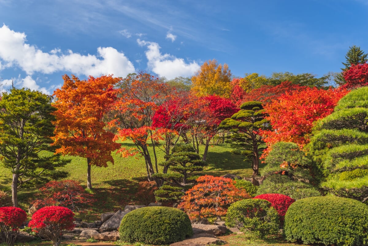 手宮緑化植物園の写真 