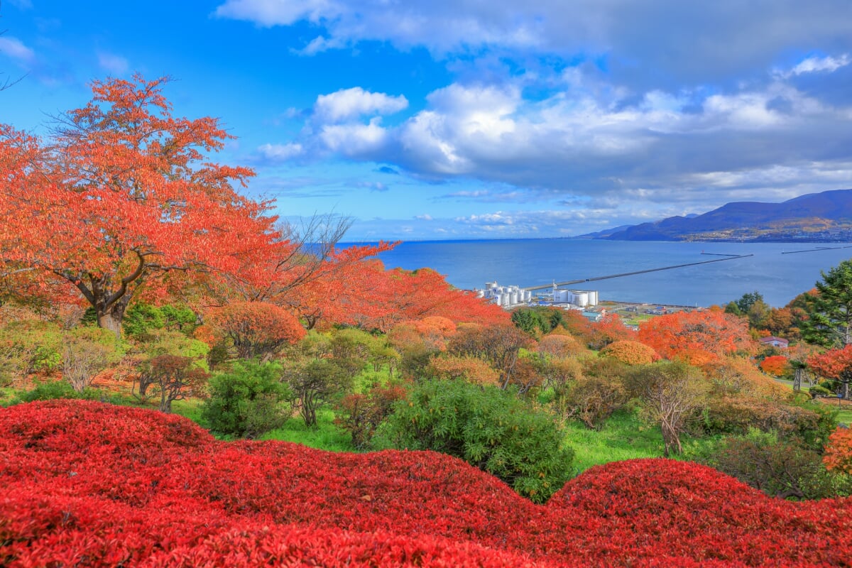 手宮緑化植物園の写真 