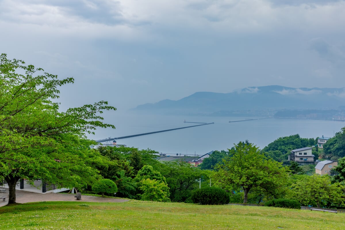 手宮緑化植物園の写真 