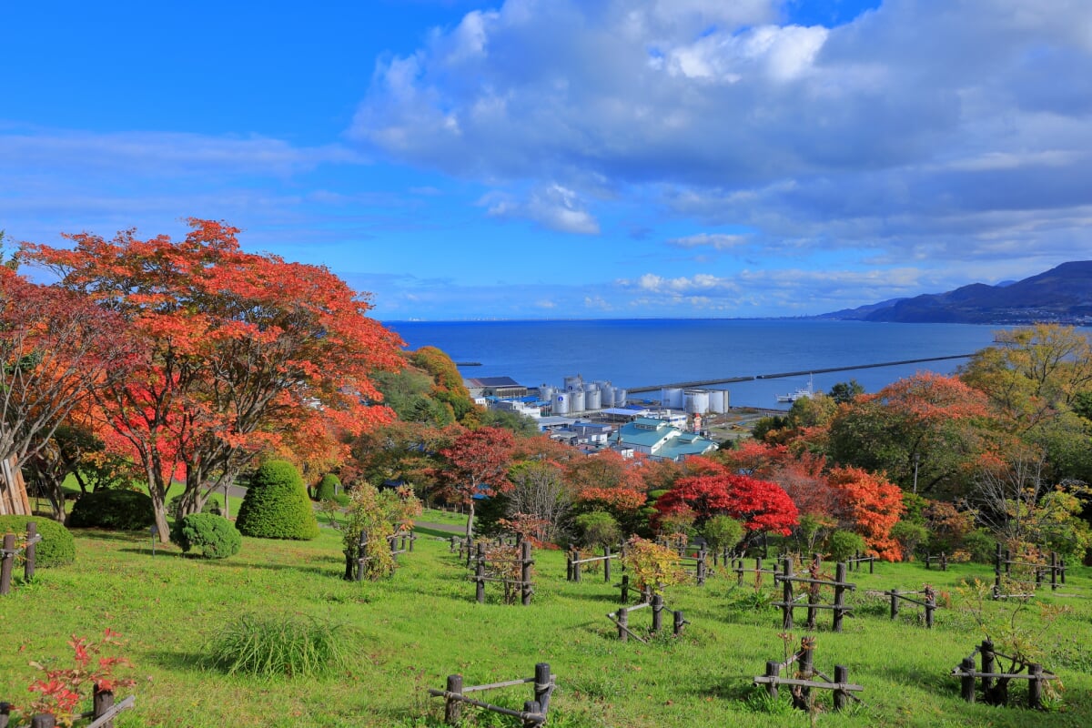 手宮緑化植物園の写真 