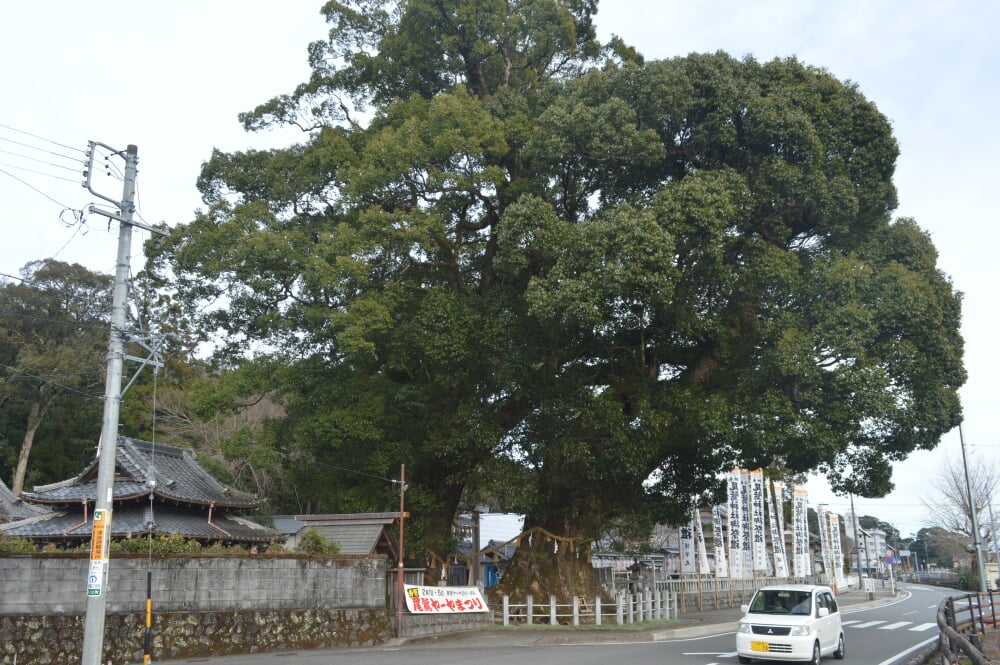 尾鷲神社の写真 ©Asturio(CC BY-SA 4.0)