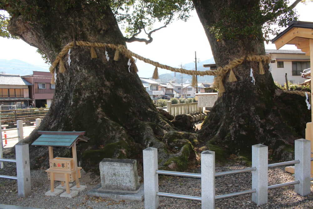 尾鷲神社の写真 ©Alpsdake(CC BY-SA 4.0)