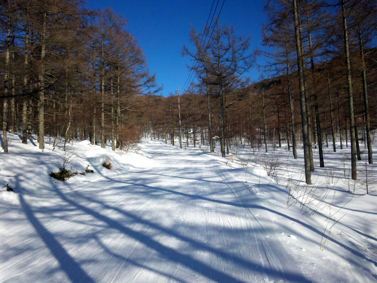 湯の丸高原の写真 ©（私）(Public domain)