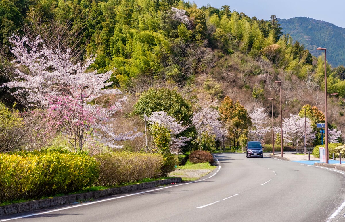 徳島県南部健康運動公園(ＪＡアグリあなん運動公園)の写真 ©AreaPhoto(CC BY-SA 4.0)