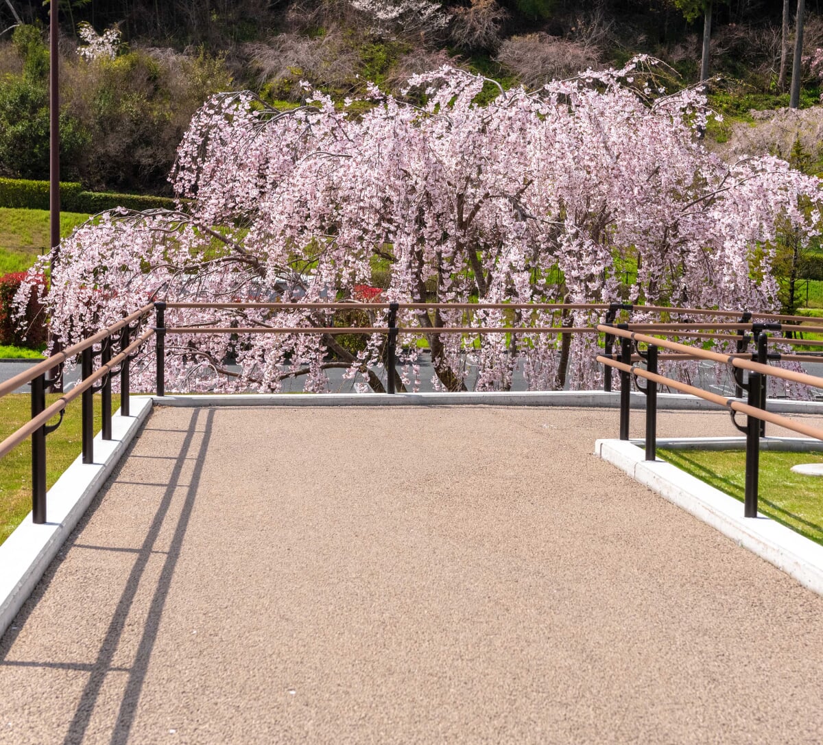 徳島県南部健康運動公園(ＪＡアグリあなん運動公園)の写真 ©AreaPhoto(CC BY-SA 4.0)