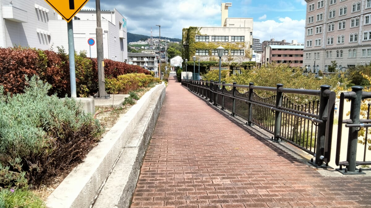 花のみち・さくら橋公園の写真 