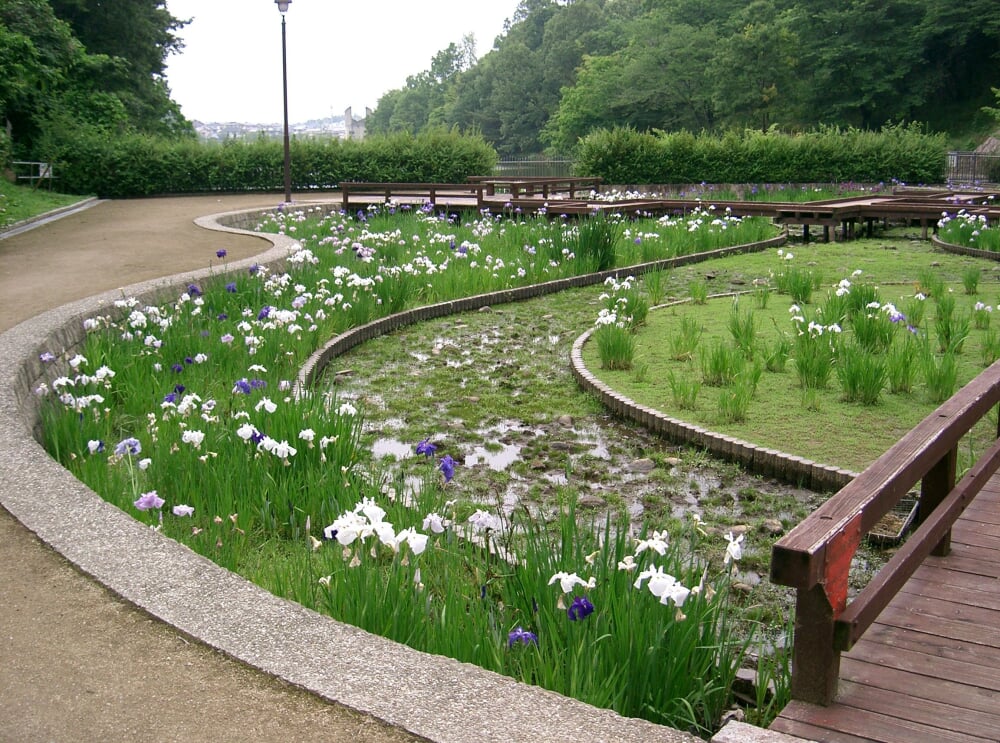 寺ヶ池公園の写真 ©KENPEI(CC-BY-SA-3.0)