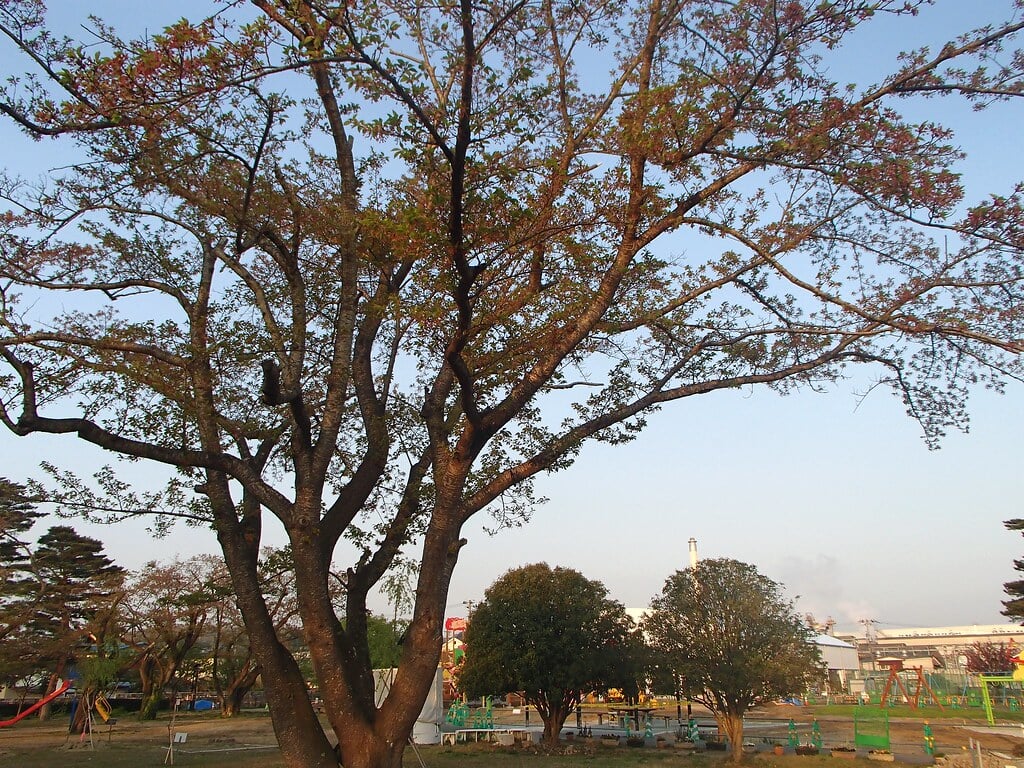 高見公園の写真 ©jetalone(CC BY 2.0)