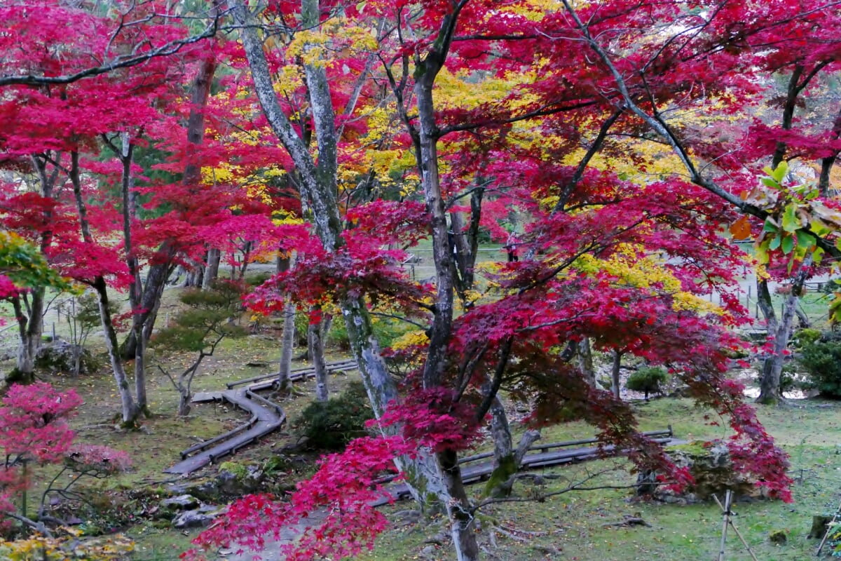 真山公園の写真 