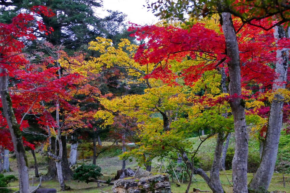 真山公園の写真 