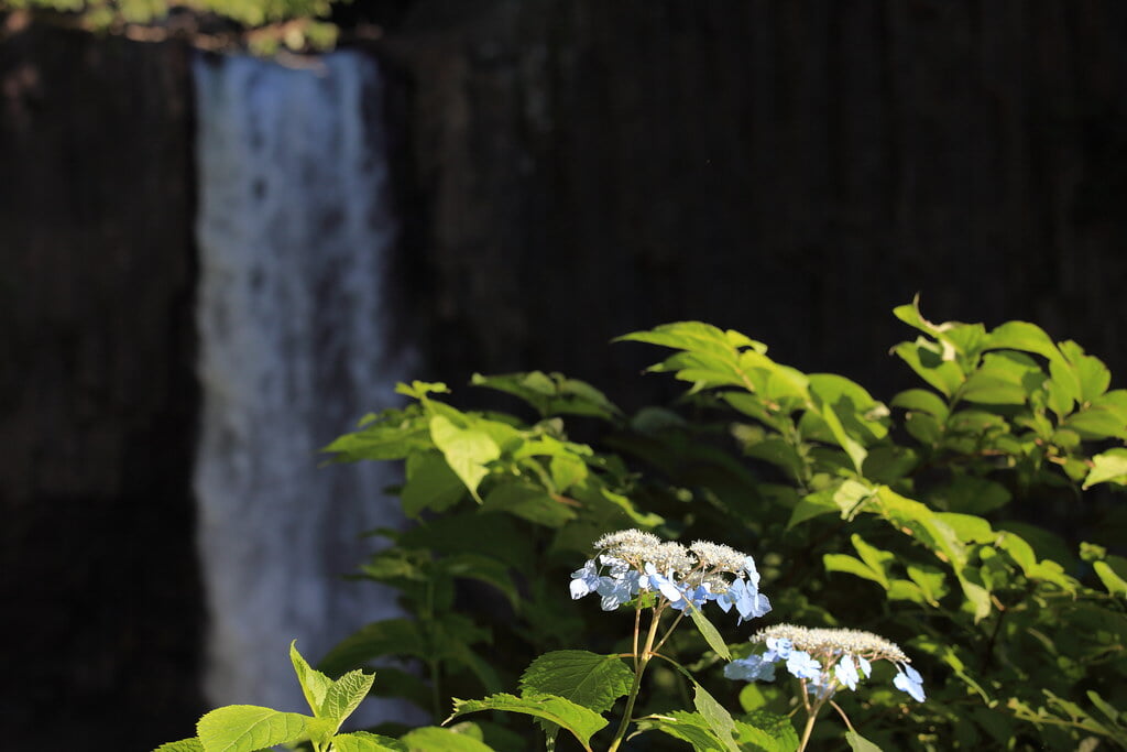 苗名滝の写真 ©TANAKA Juuyoh (田中十洋)(CC BY 2.0)