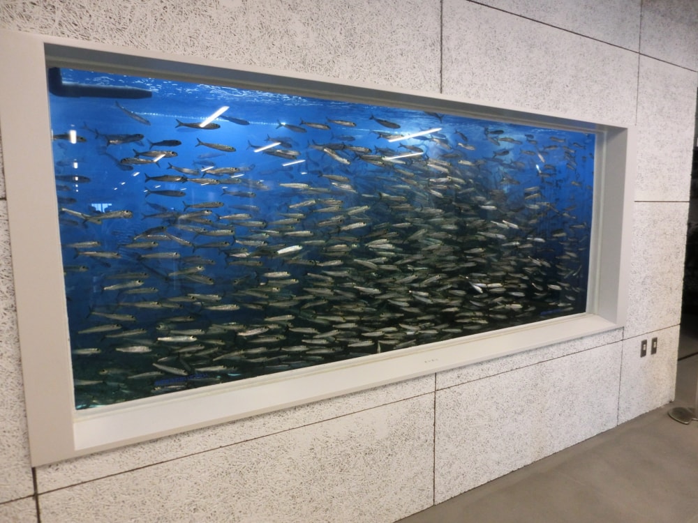 海の駅 九十九里の写真 