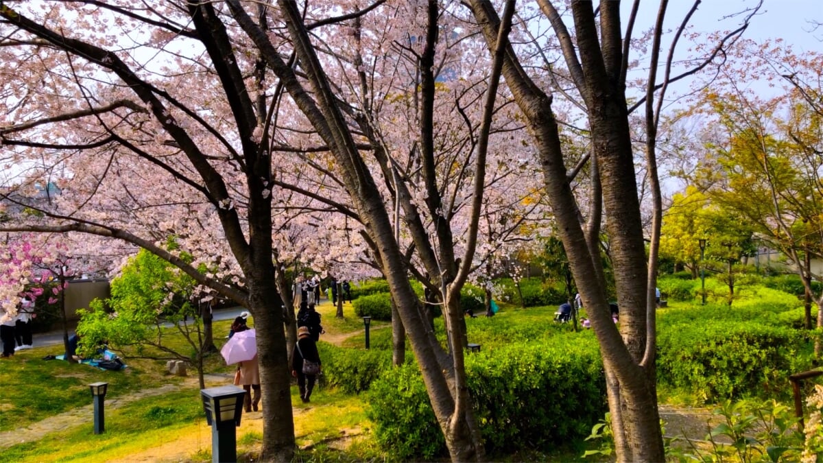 藤田邸跡庭園の写真 