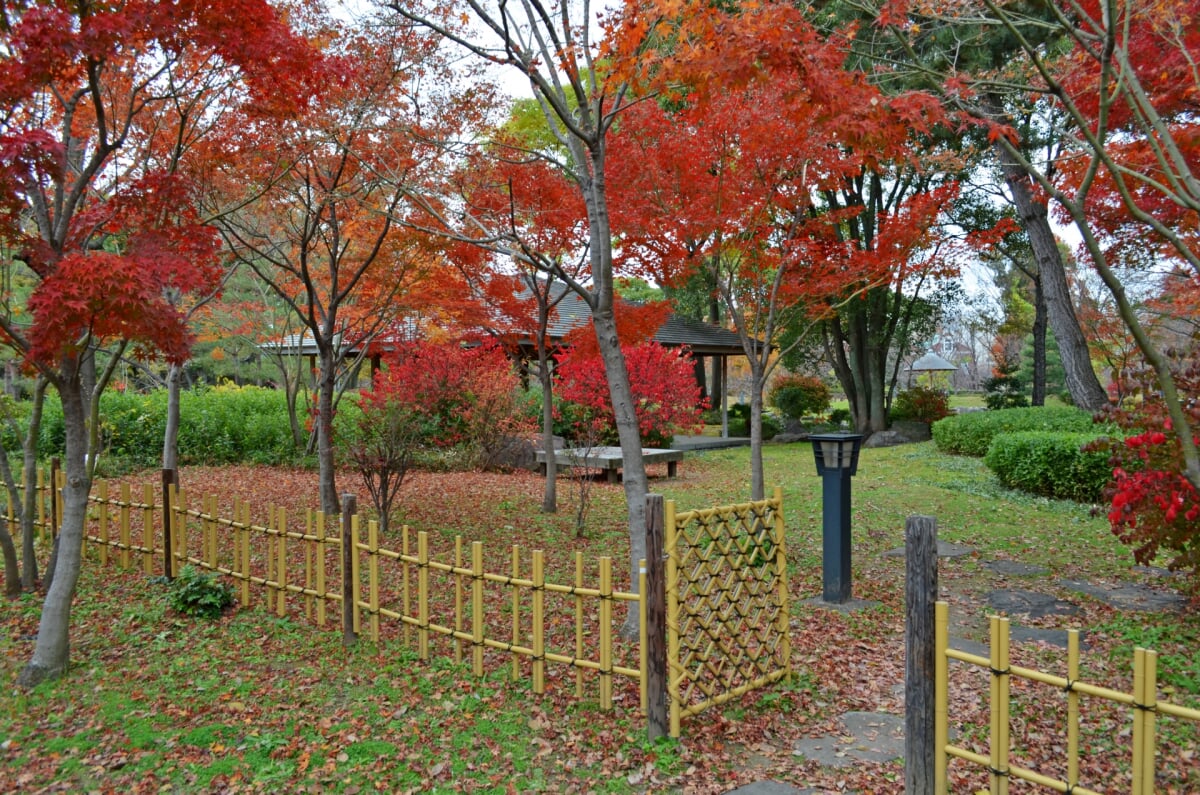 藤田邸跡庭園の写真 