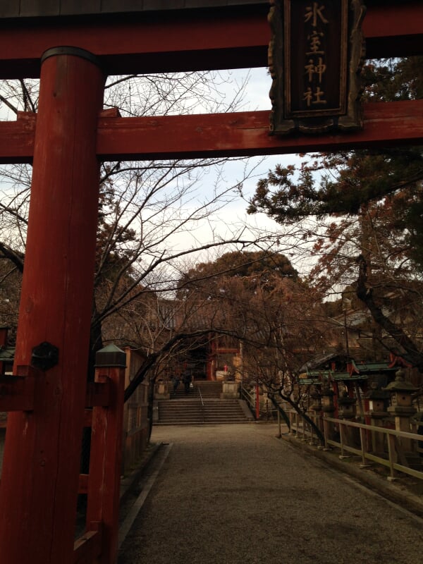 氷室神社の写真 ©そらみみ(CC BY-SA 3.0)