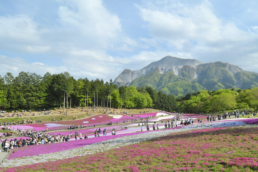 羊山公園の写真 ©mxmstryo(CC BY 2.0)
