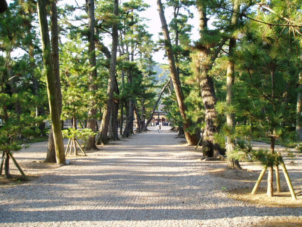 出雲大社の写真 ©Motokoka(CC BY-SA 4.0)