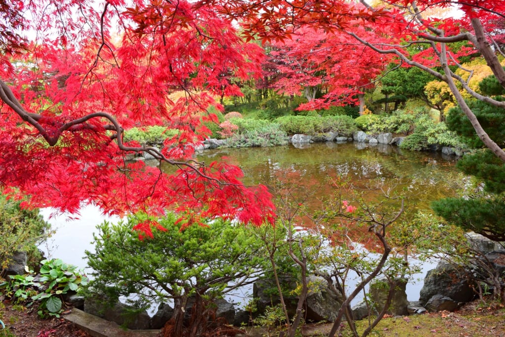 札幌市平岡樹芸センターの写真 