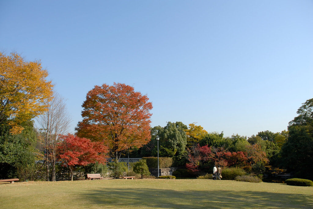 白鳥庭園の写真 ©BONGURI(CC BY-ND 2.0)