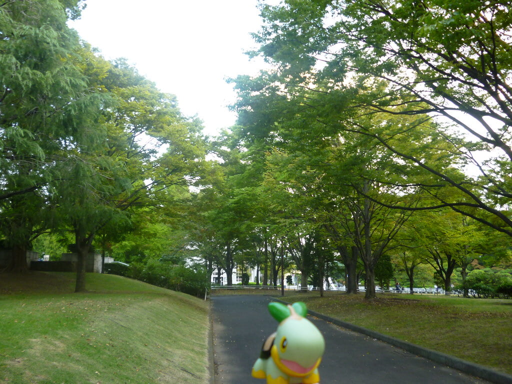 亀戸中央公園の写真 ©Kasadera(CC BY 2.0)