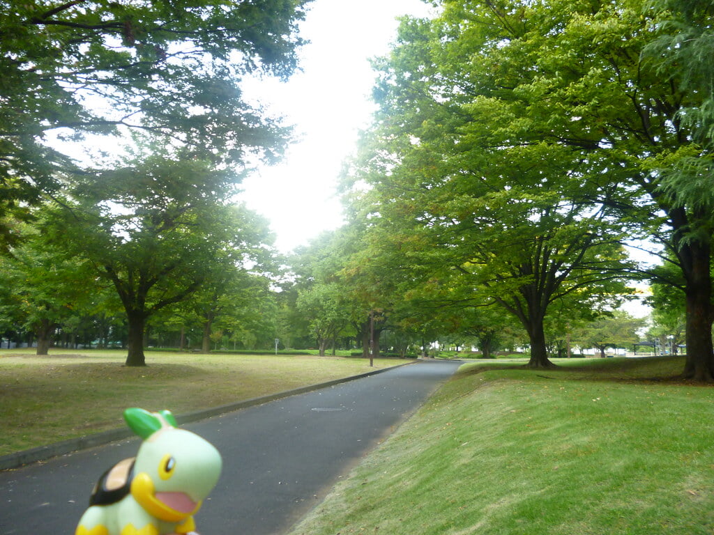 亀戸中央公園の写真 ©Kasadera(CC BY 2.0)