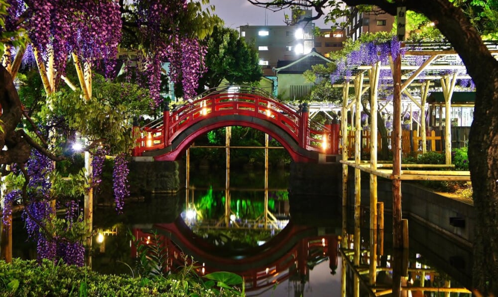 亀戸天神社の写真 ©Manishprabhune(CC BY-SA 4.0)