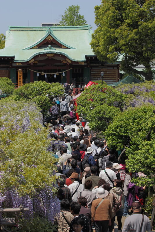 亀戸天神社の写真 ©yendo0206(CC BY-SA 2.0)