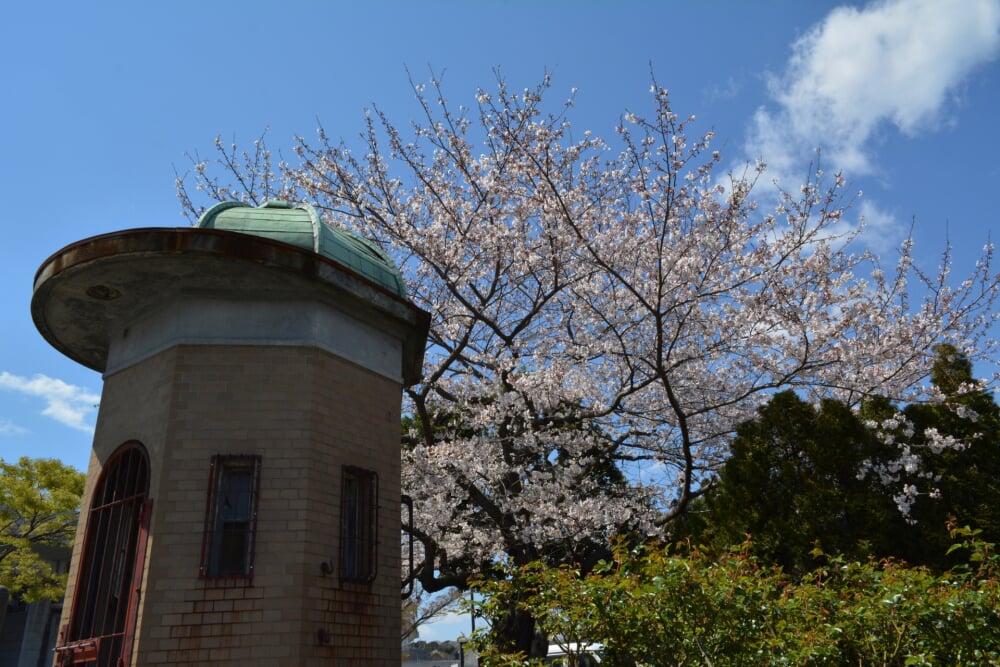 ヴェルニー公園の写真 