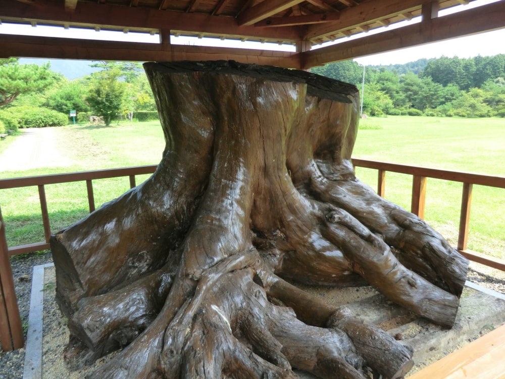 余野公園の写真 ©Motokoka(CC BY-SA 4.0)