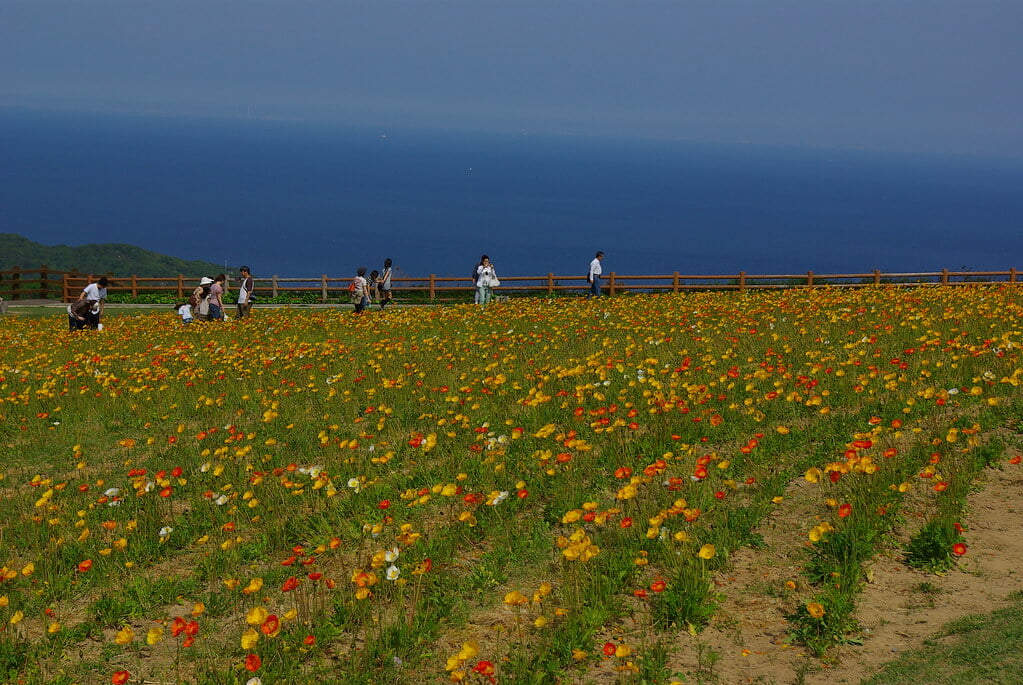 あわじ花さじきの写真 ©yosshi(CC BY-SA 2.0)