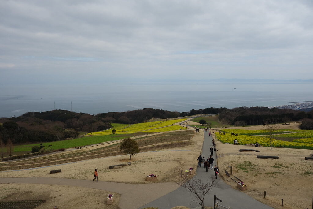 あわじ花さじきの写真 