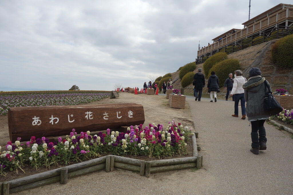 あわじ花さじきの写真 ©kennejima(CC BY 2.0)