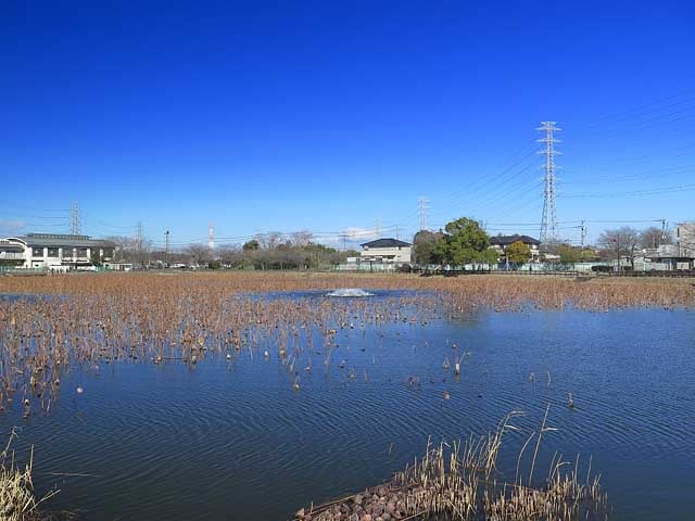 慈恩寺の写真 ©京浜にけ(CC BY-SA 3.0)