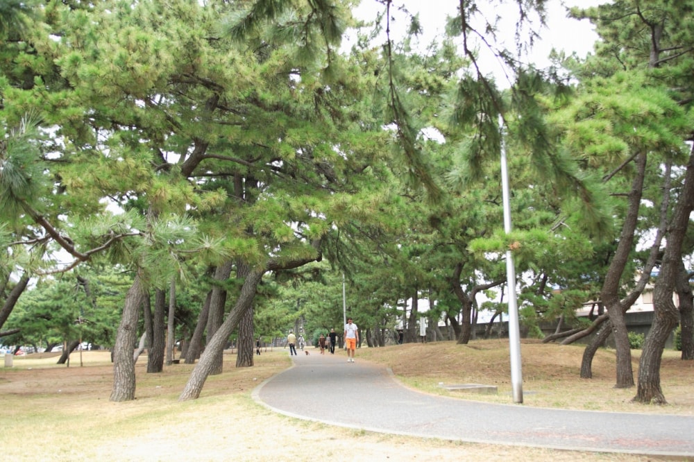 二色の浜公園の写真 ©Nishikinoakira(CC BY-SA 4.0)