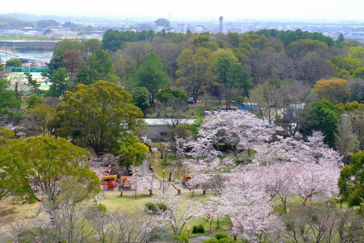 日岡山公園の写真 