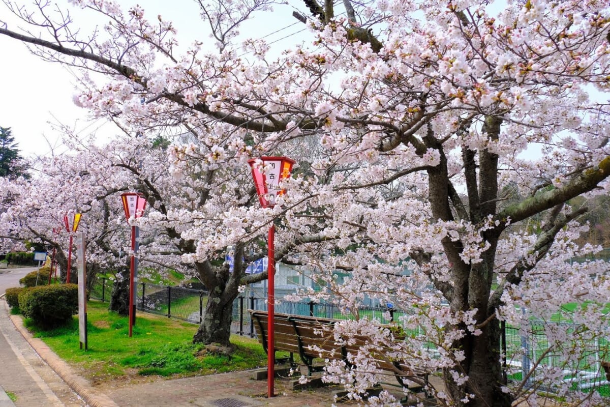 日岡山公園の写真 