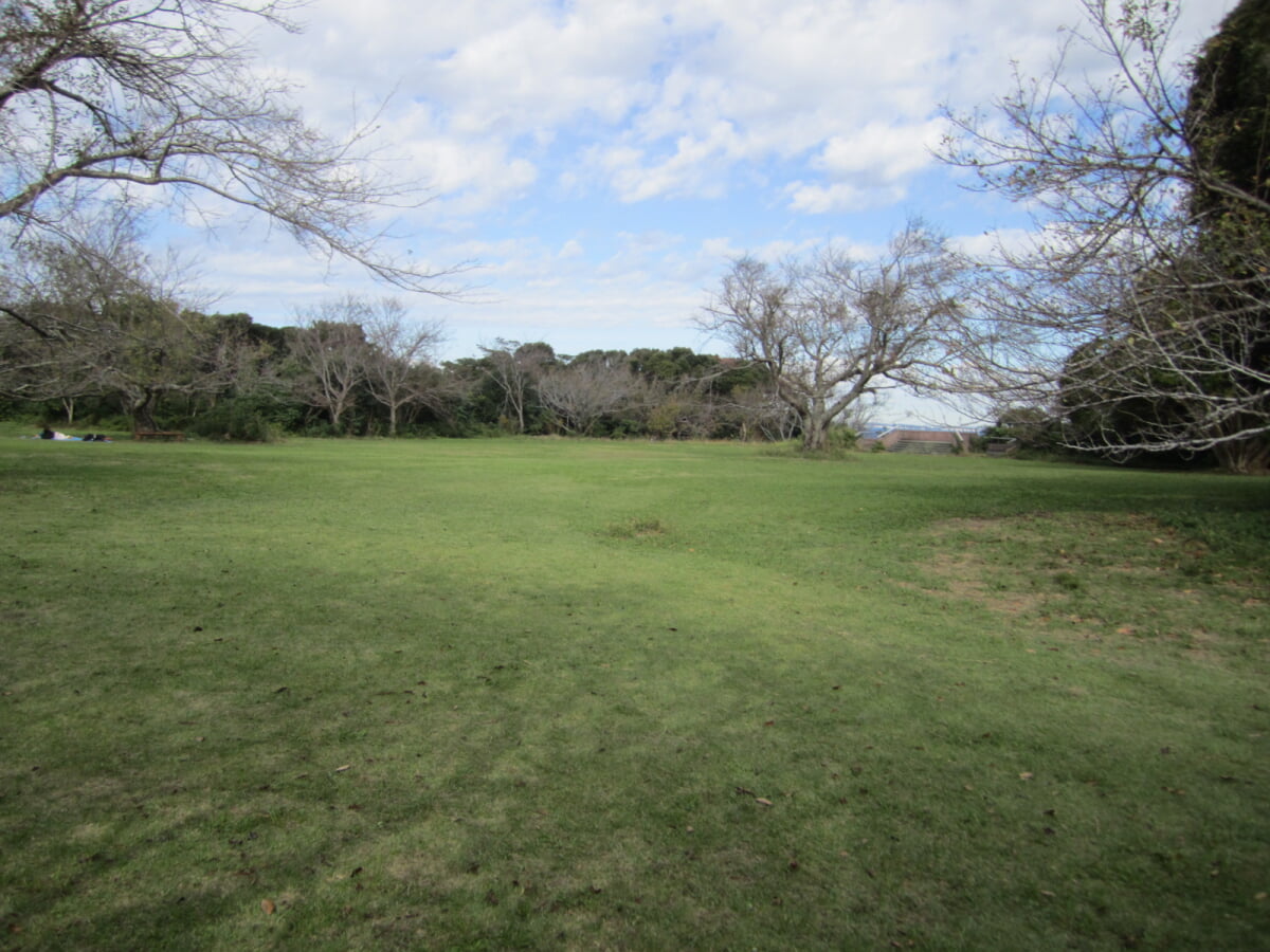 大房岬自然公園の写真 