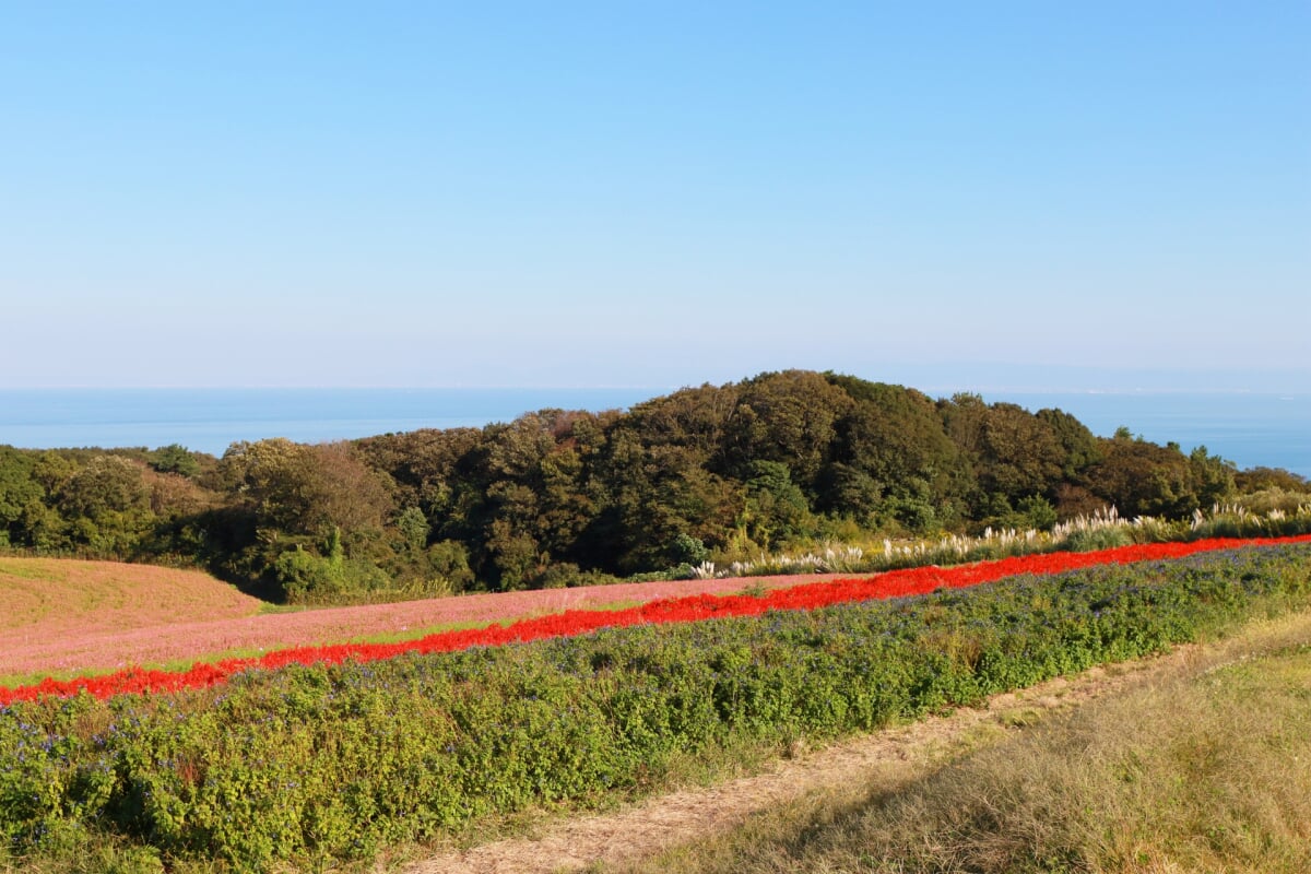 淡路島公園の写真 