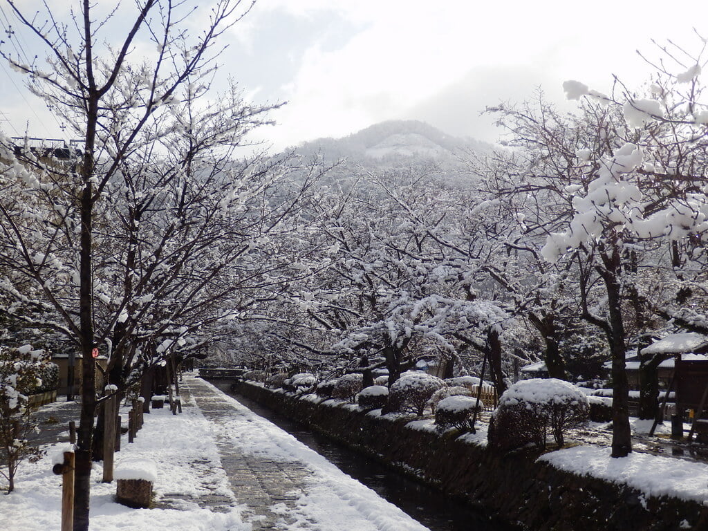 哲学の道の写真 ©izunavi(CC BY 2.0)