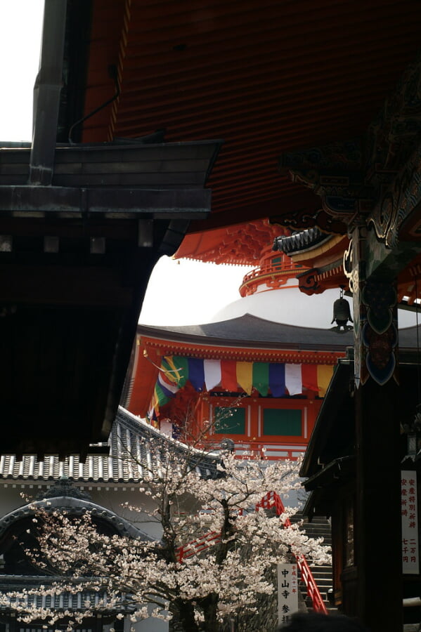 中山寺の写真 ©Hyougushi(CC BY-SA 2.0)