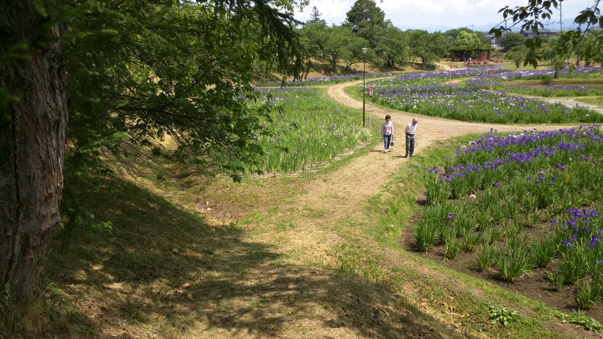 御殿場公園の写真 ©Tm3594(CC BY-SA 4.0)