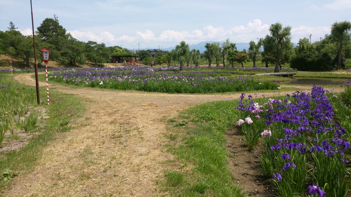 御殿場公園の写真 ©Tm3594(CC BY-SA 4.0)