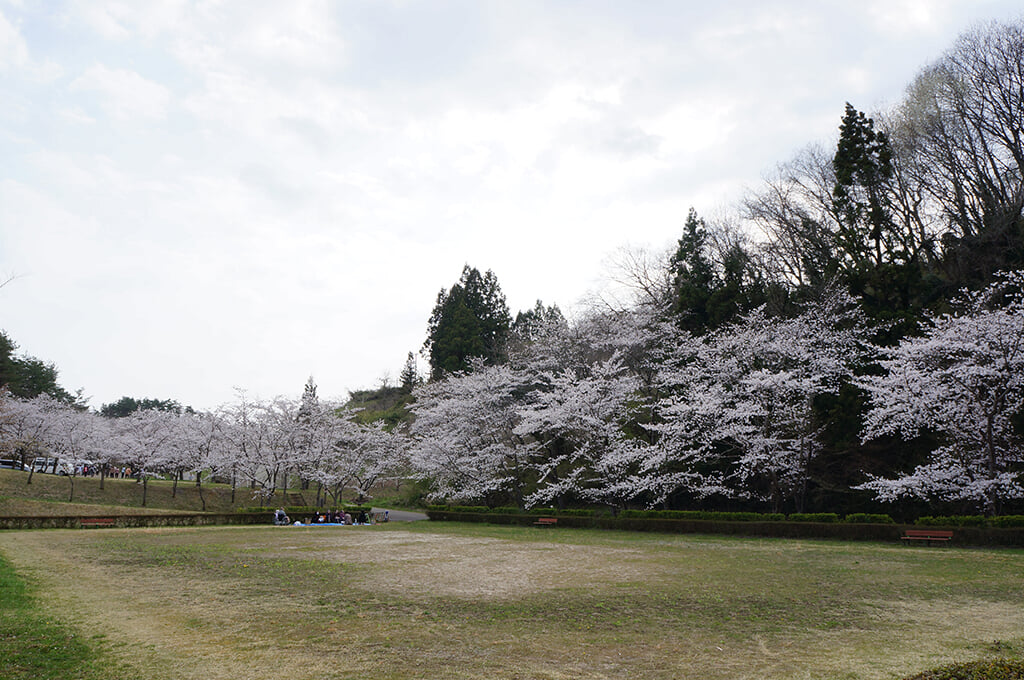 やながわ希望の森公園の写真 出典:福島県観光物産交流協会