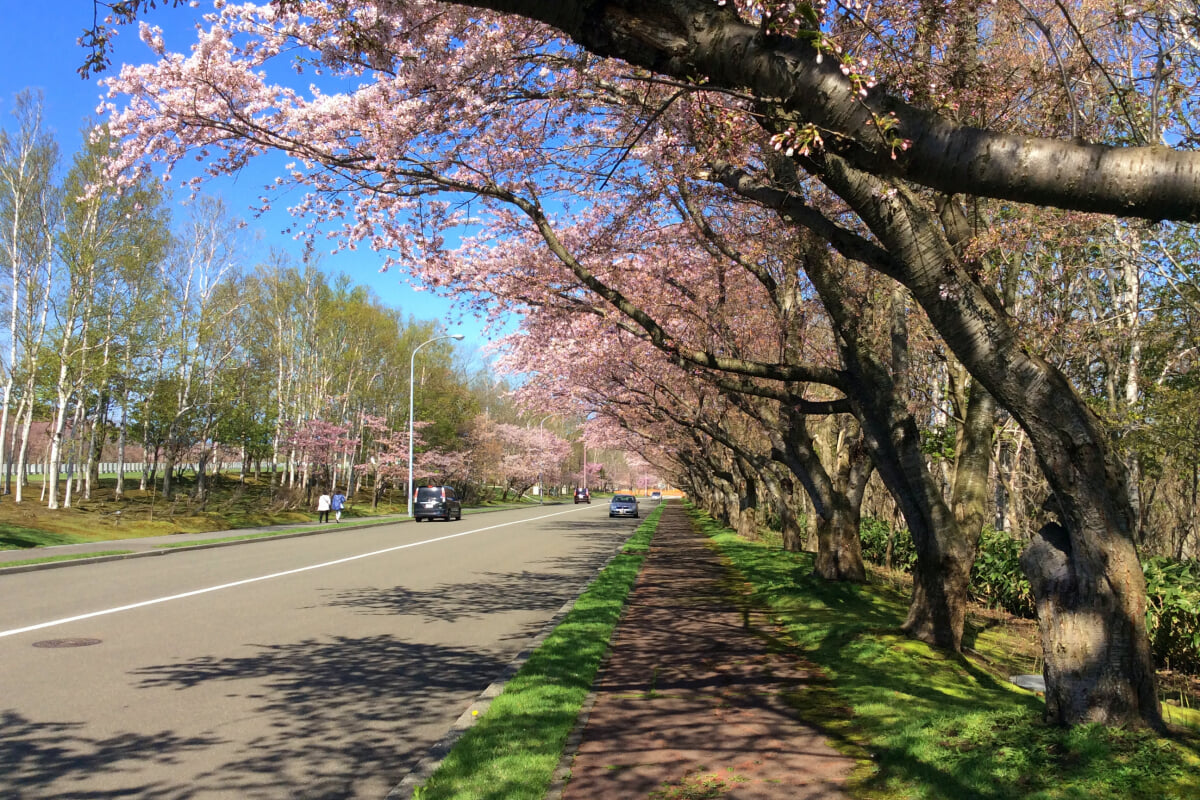 戸田記念墓地公園の写真 ©t-konno(CC BY-SA 3.0)