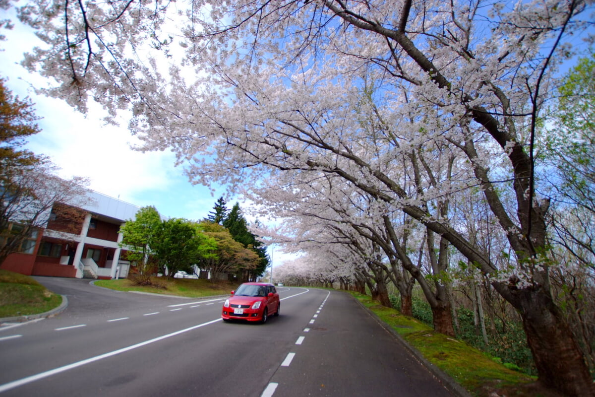 戸田記念墓地公園の写真 ©t-konno(CC BY-SA 3.0)