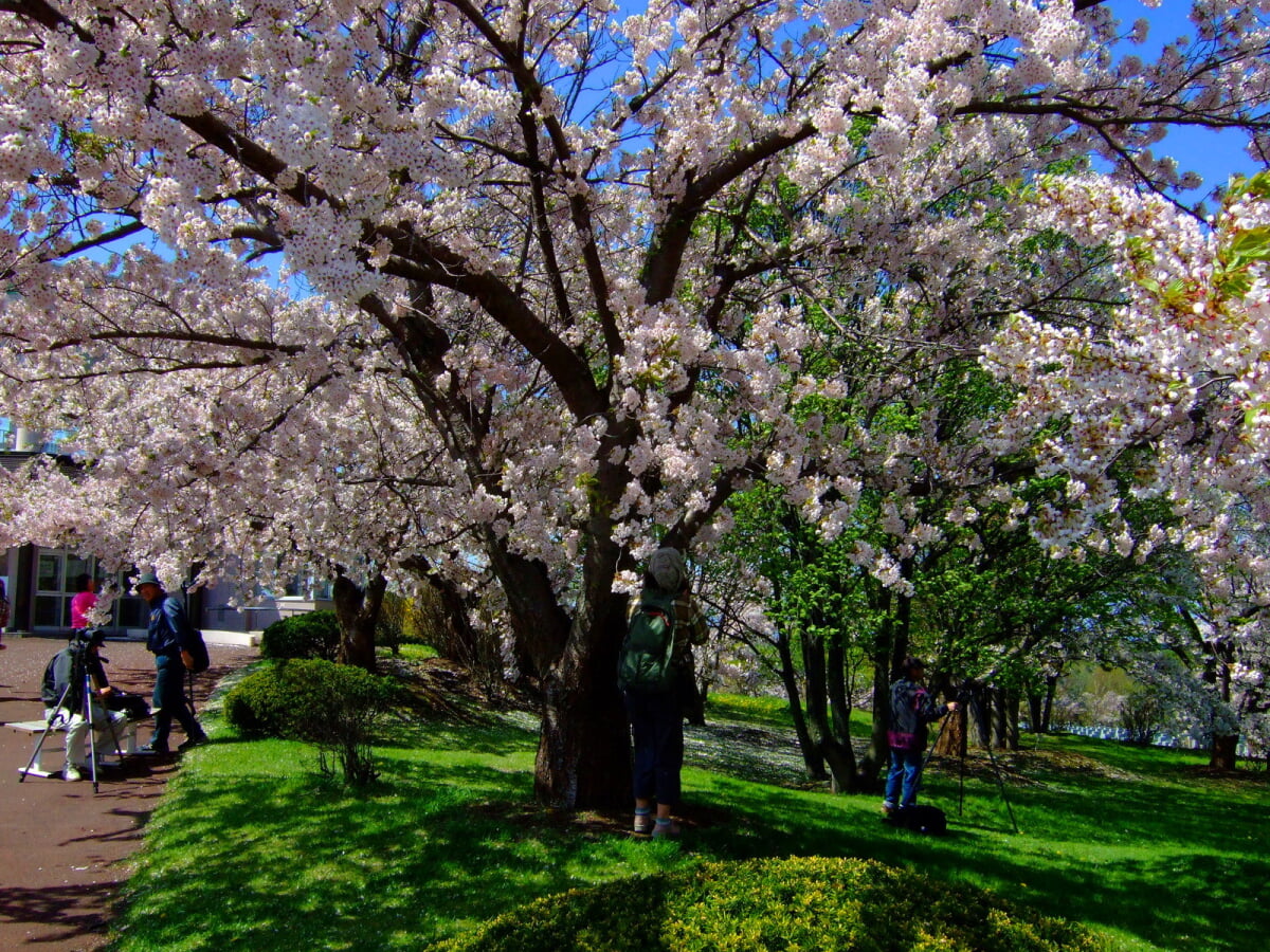 戸田記念墓地公園の写真 ©t-konno(CC BY-SA 3.0)